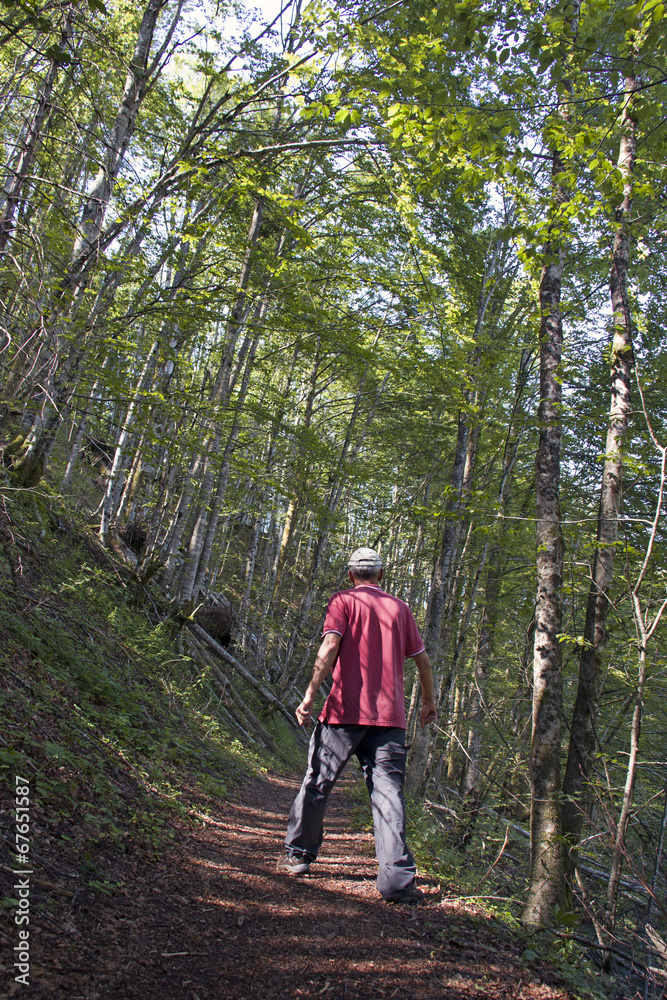 Obraz premium Protected landscape Canyon Kamacnik in Gorski kotar in Croatia