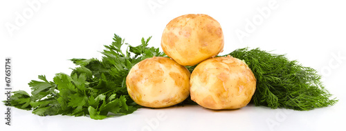 Fresh potatoes and green dill and parsley isolated over white
