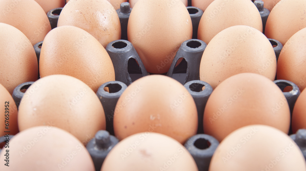 Eggs Eggs