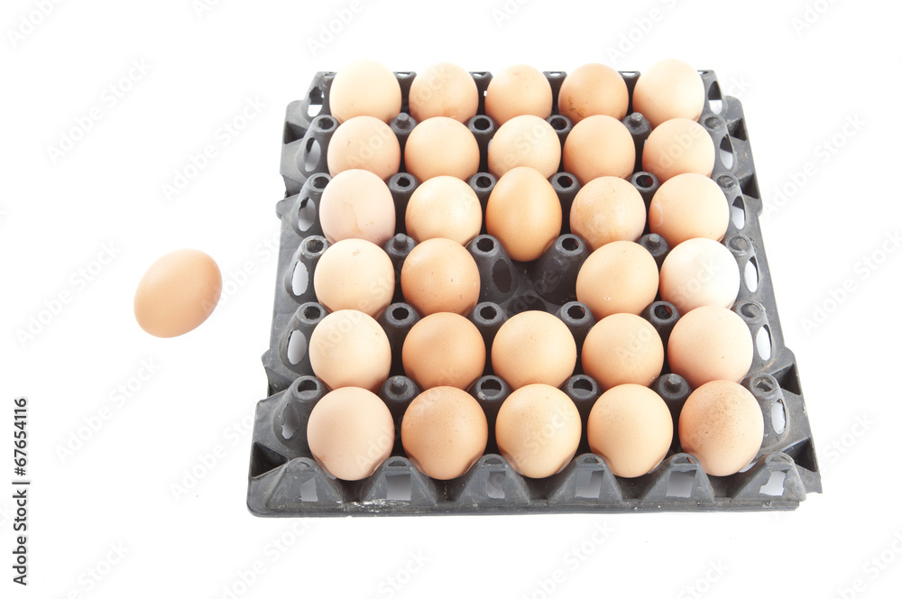 eggs panel