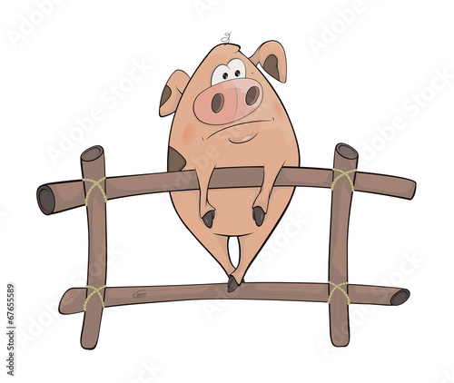 Pig. Cartoon