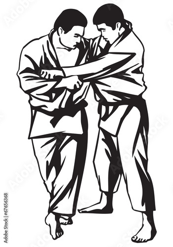 Judo fight
