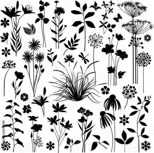 Big botany set