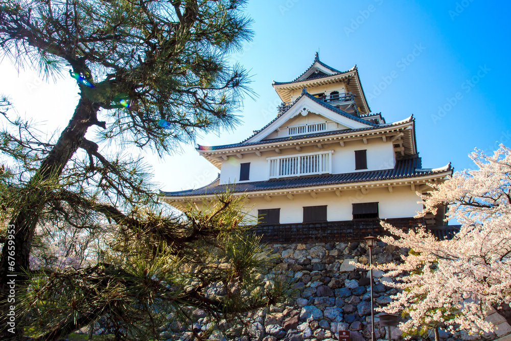 Fototapeta Nagahama Castle