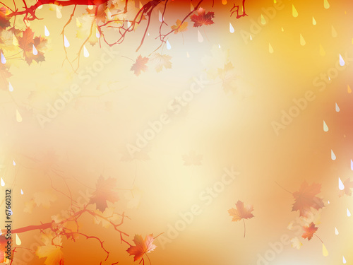 Autumnal Background with maple leaves. EPS 10