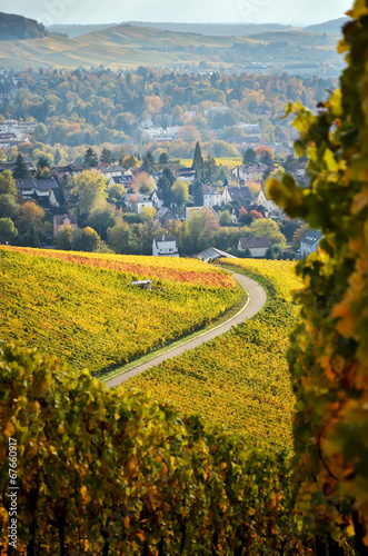 Autumn german landscape with the view on vineyards © Sa Scha