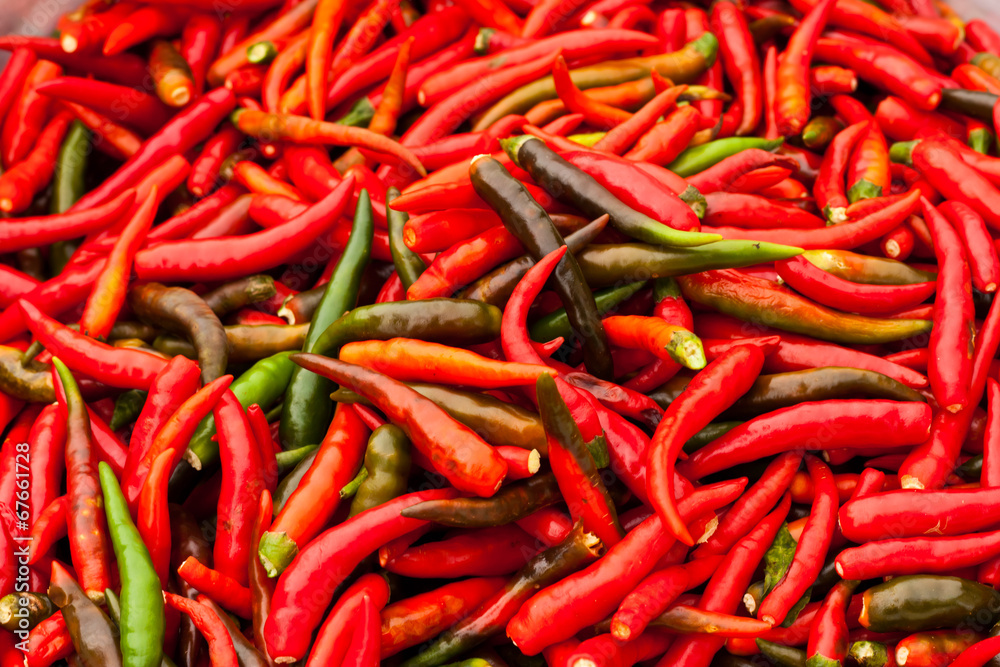 red chili red chili