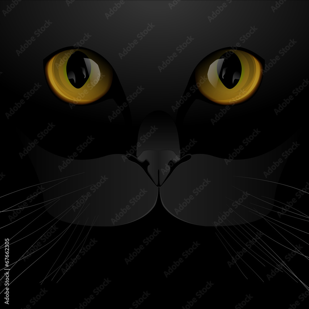 Cat eyes and nose background