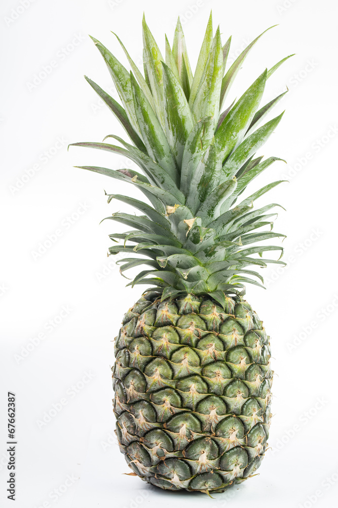 Pineapple Pineapple