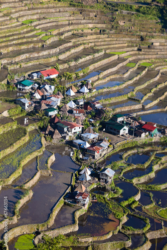 Rice terraces in Batad,  Philippines
