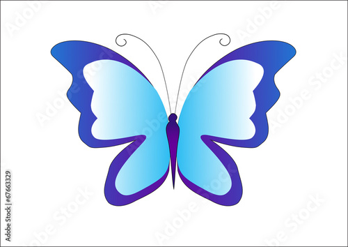 Butterflly