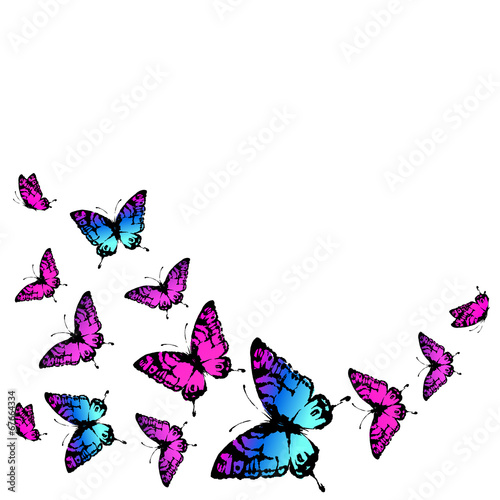 butterflies design