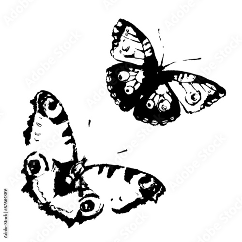 butterflies design