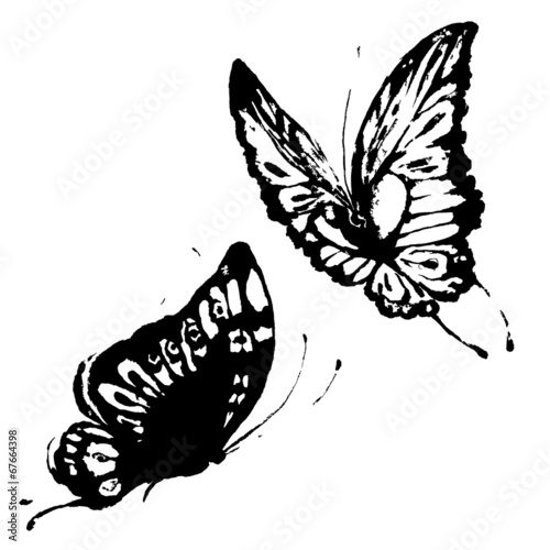 butterflies design