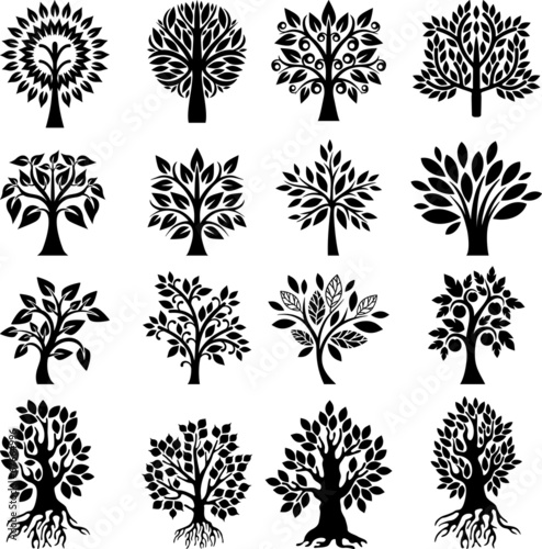 Tree setIV