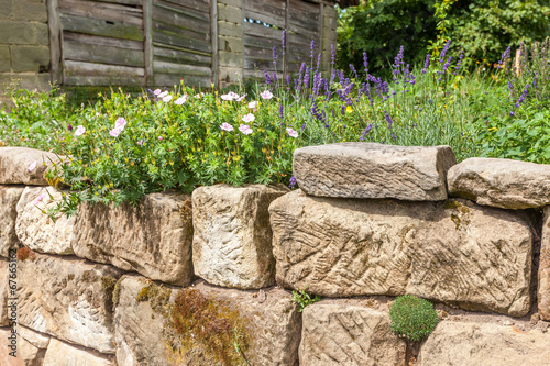 Bilde på lerret Rock garden with flowers