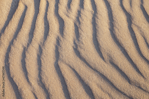 Rippled sand.