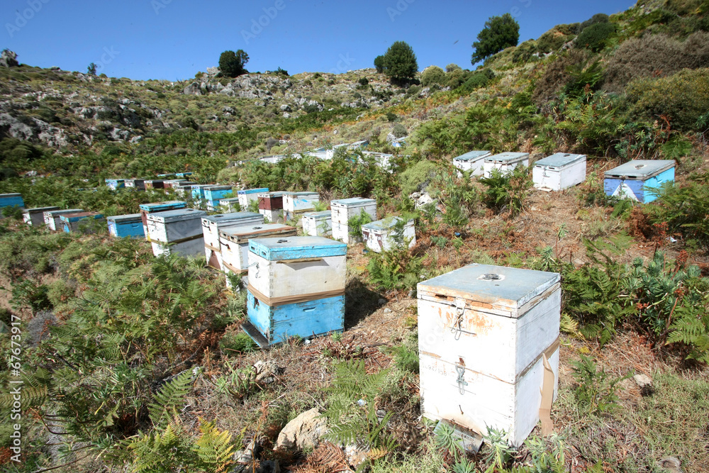 Grèce - ruches en Crète - obrazy, fototapety, plakaty 
