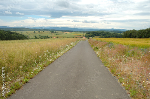 Road on countryside