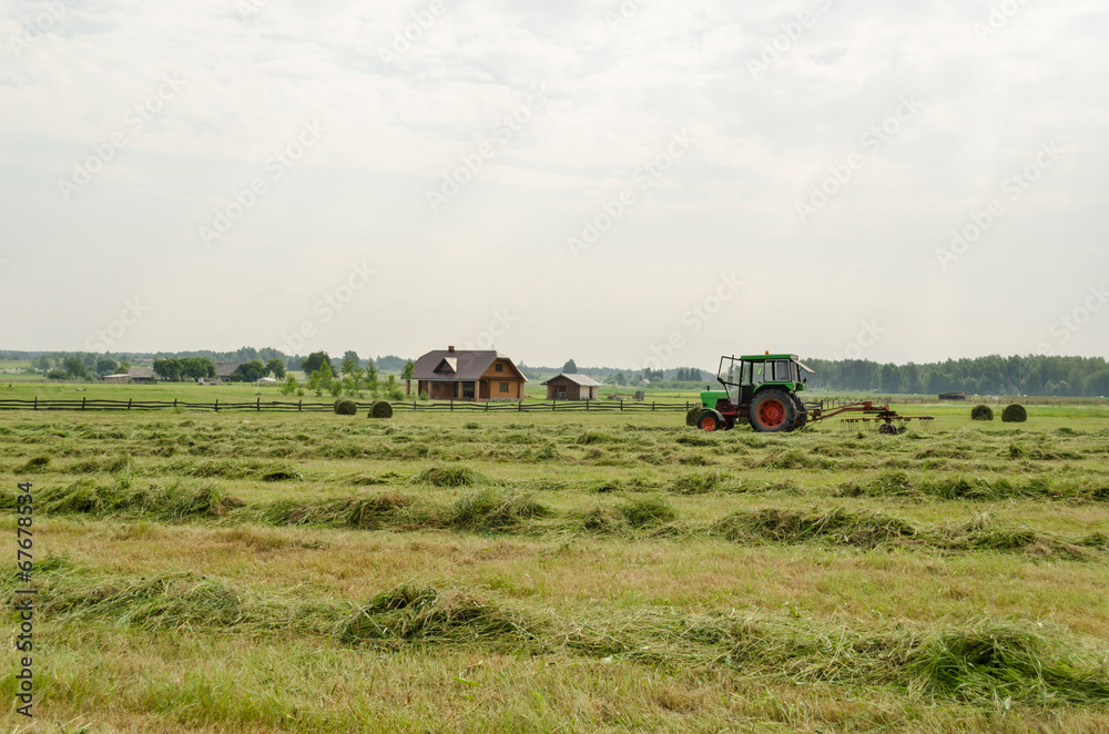 Fototapeta premium tractor turning raking cut hay in field