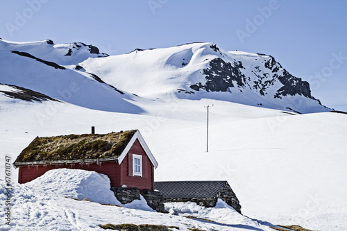 Winter auf dem Vikafjellet photo