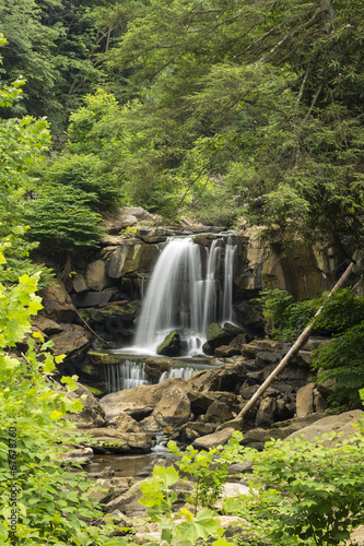Laurel Creek Upper Falls