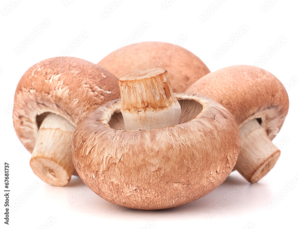 Fototapeta premium Brown champignon mushroom group