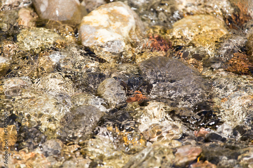 stones in the mountain river