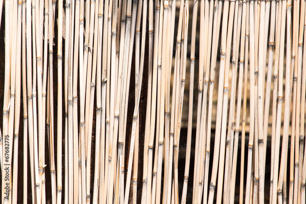 Japanese bamboo texture good for background Japanese bamboo texture good for background