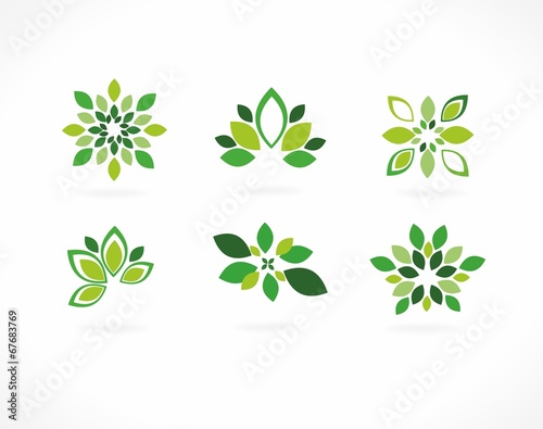 Stylized vector - green leaves
