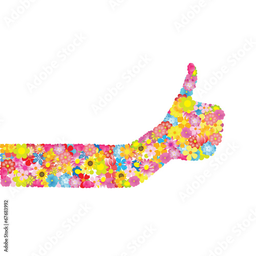 Flores