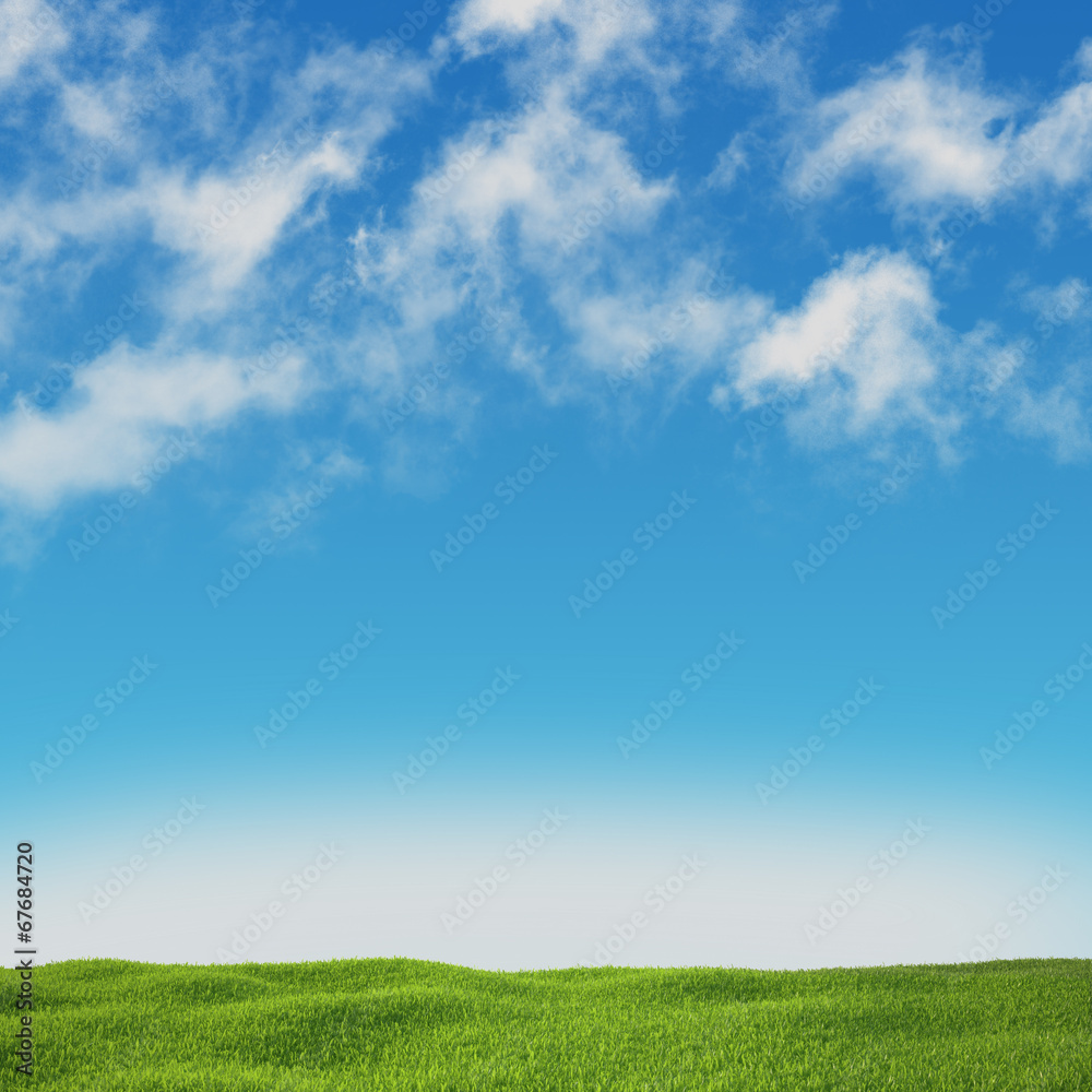 field on a background of the blue sky