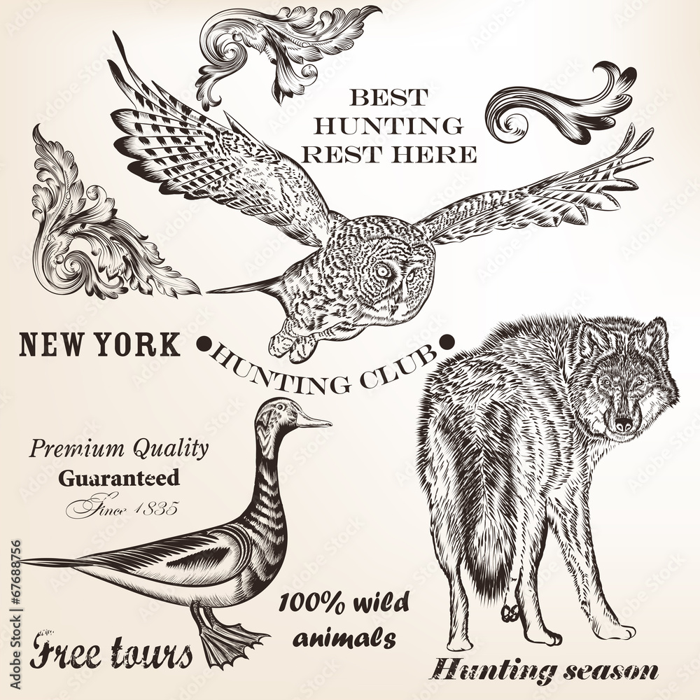 Obraz premium Set of vector animals for hunting design