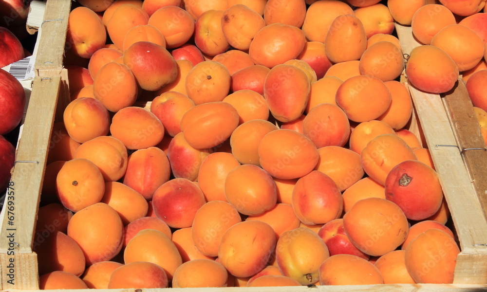 Caisse d'abricots