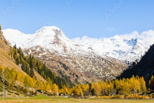 Autumn forest in the alp valley
