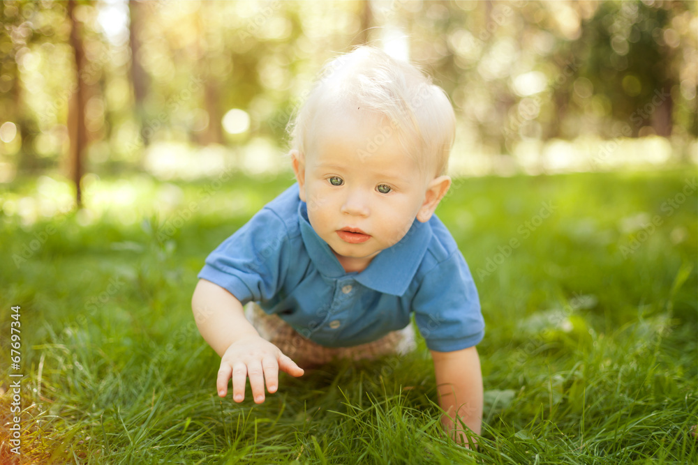 funny little boy crawling on the grass in the park funny little boy crawling on the grass in the park