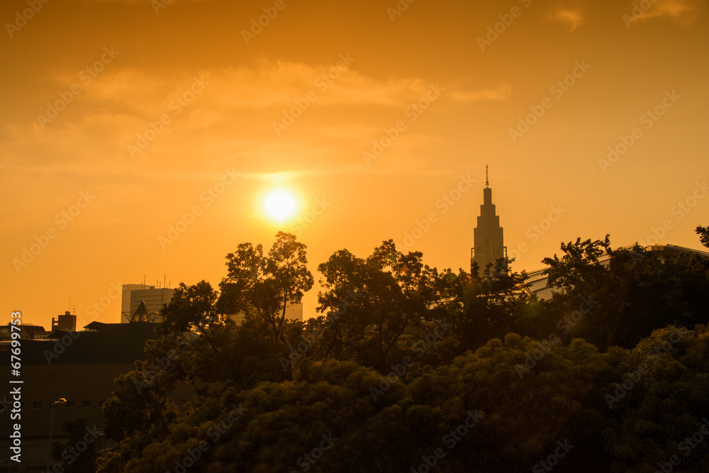 Obraz premium 新宿の夕景