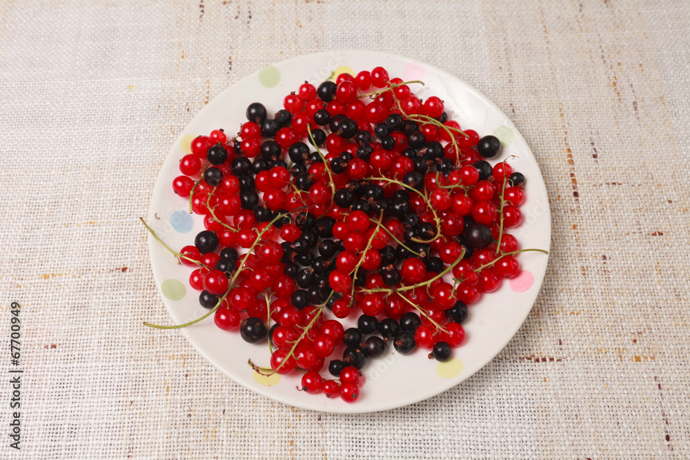 Mixed black adn red currants in a bowl Mixed black adn red currants in a bowl