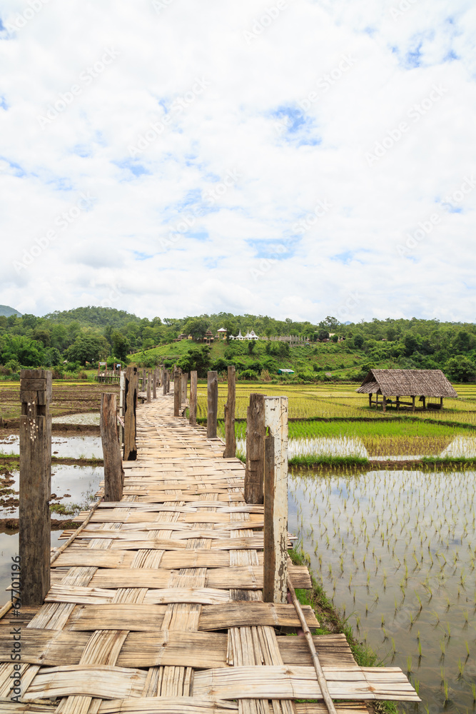 Fototapeta premium bridge across rice field white cloud