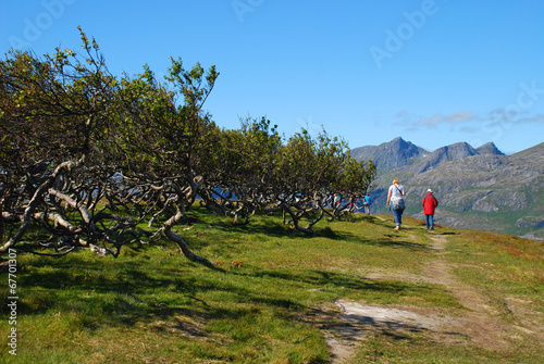 wandern auf den lofoten