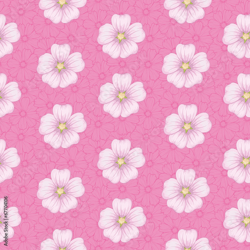 Seamless floral pattern  mallow and cosmos