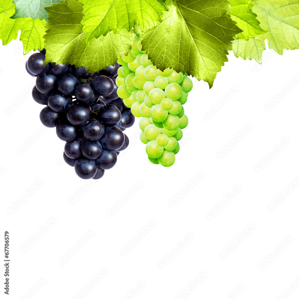 Fototapeta premium Freigestelltes Wein Motiv