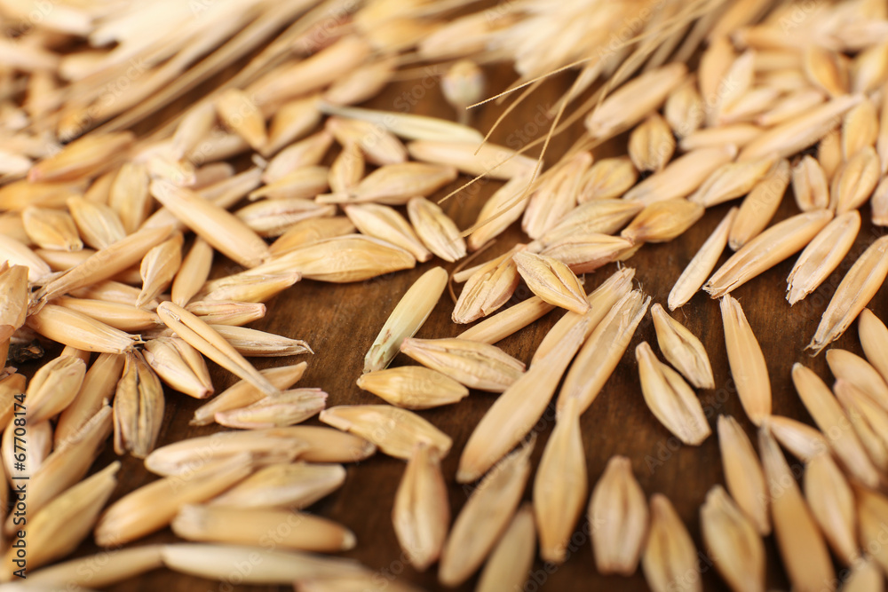 Obraz premium Rye grains and ears on table, close-up