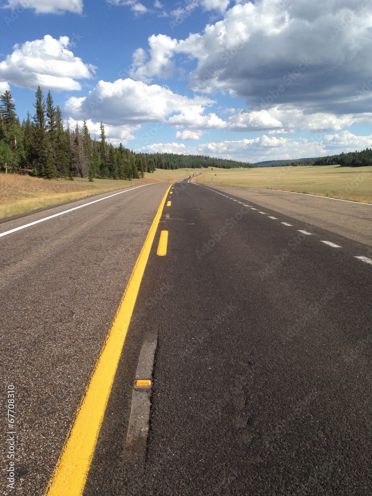 Fototapeta premium strada americana in un prato