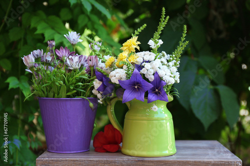 Fototapeta Naklejka Na Ścianę i Meble -  Beautiful flowers in pot, outdoors