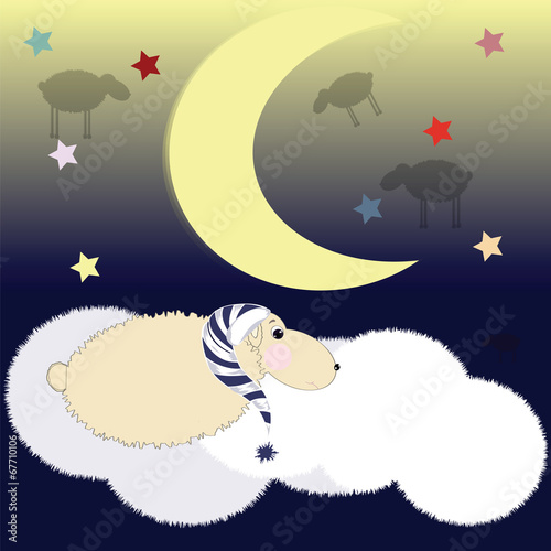 sleeping sheep