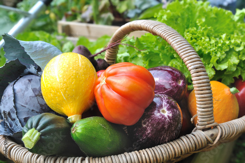 panier de légumes