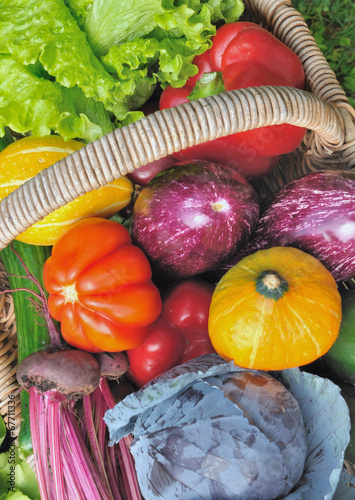 panier de légumes
