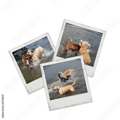 Fototapeta Naklejka Na Ścianę i Meble -  Photo 