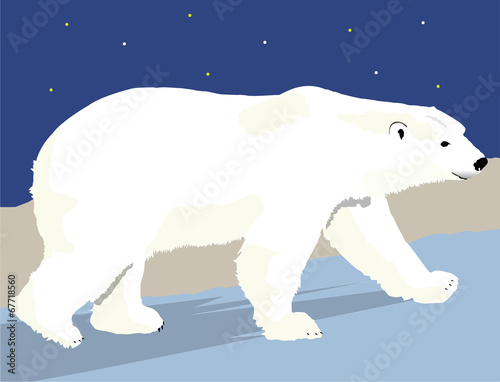 Polar Bear with Background